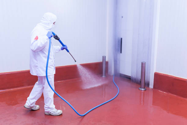 Best Pre-Holiday Cleaning  in St Anthony, MN