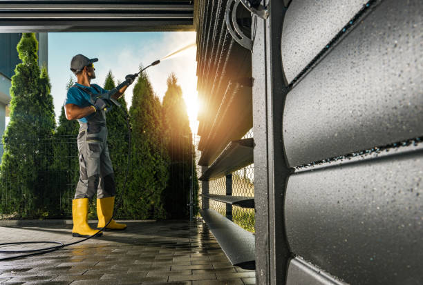 Best Graffiti Removal  in St Anthony, MN