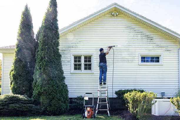 Best Sidewalk and Walkway Cleaning  in St Anthony, MN